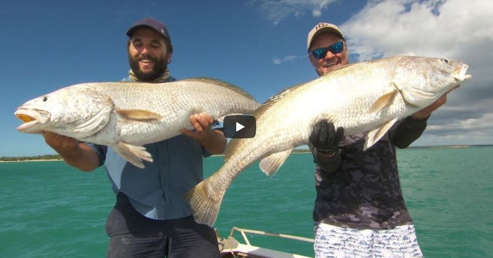 Fishing for Jewfish on the NT's Cobourg Peninsula. Jewfish.